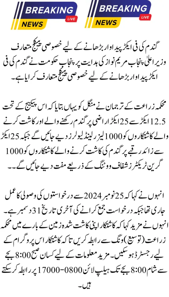 Special Package Introduced to Boost Wheat Production in Punjab