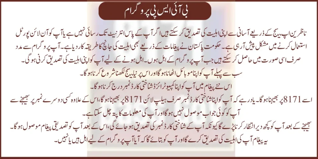 How to Check 8171 Money Online in Pakistan