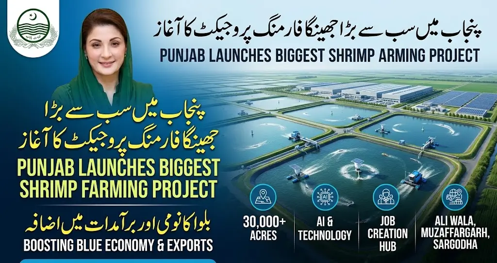 Punjab Launches Its Biggest-Ever Shrimp Farming Project to Boost Blue Economy