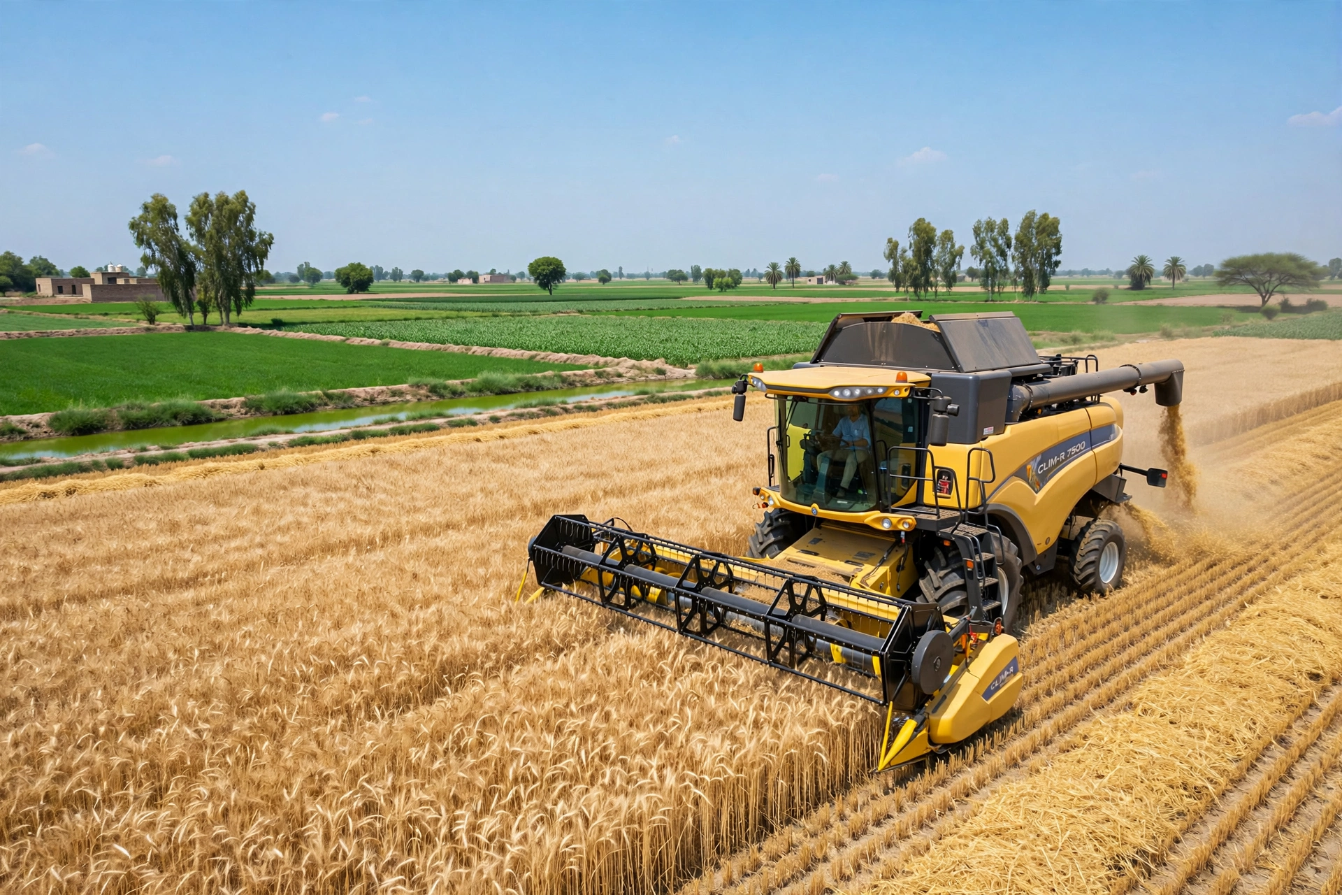 Punjab climate resilient agriculture mechanization project combine harvester in wheat field